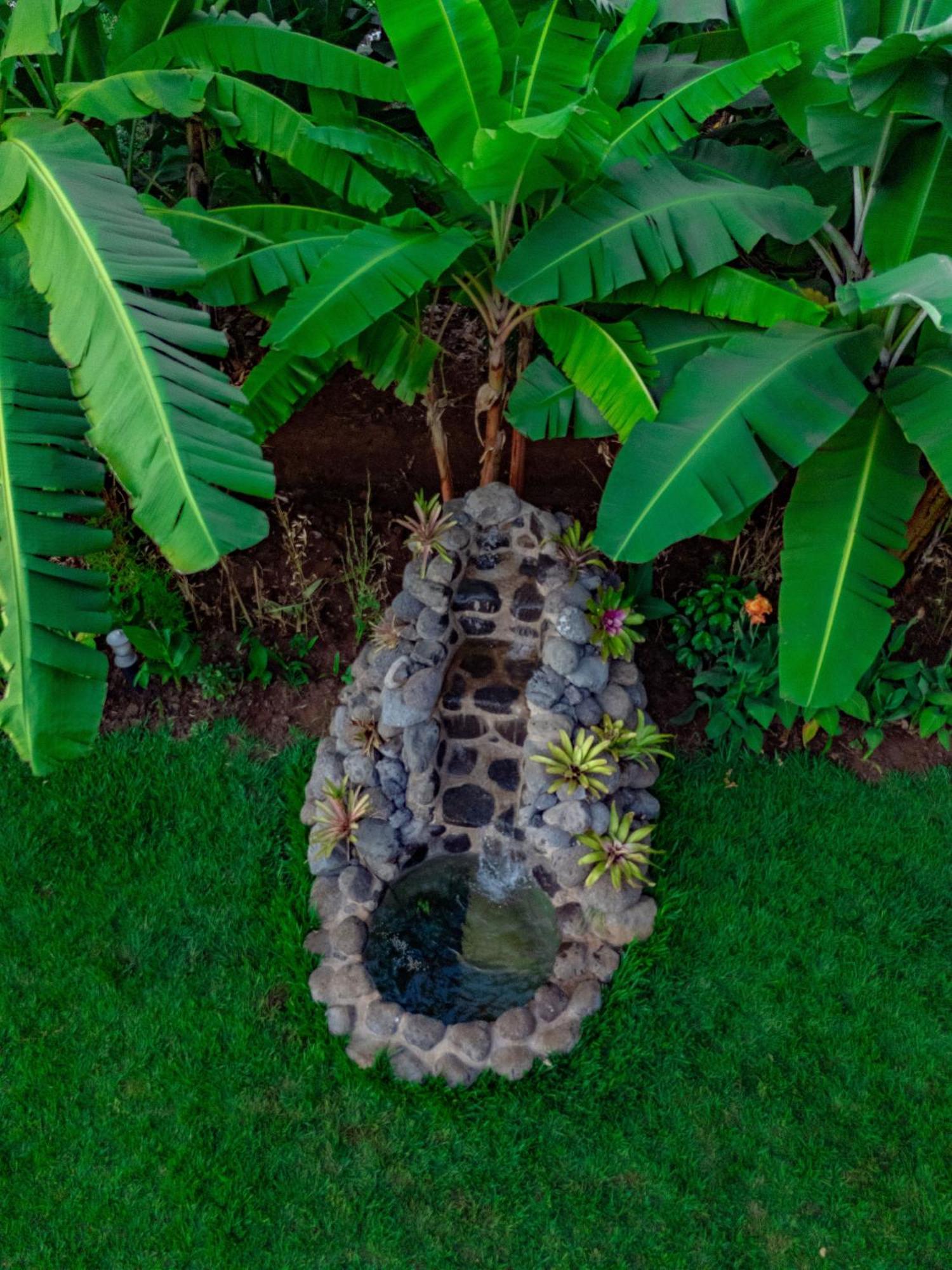 Shose Farmhouse Chalets & Campsite Moshi Luaran gambar